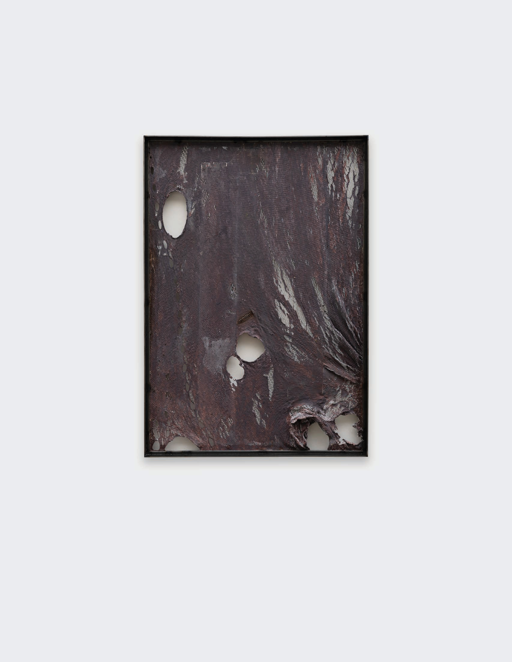 Mire Lee — Untitled #5 (framed flat skin pieces from Open Wound)