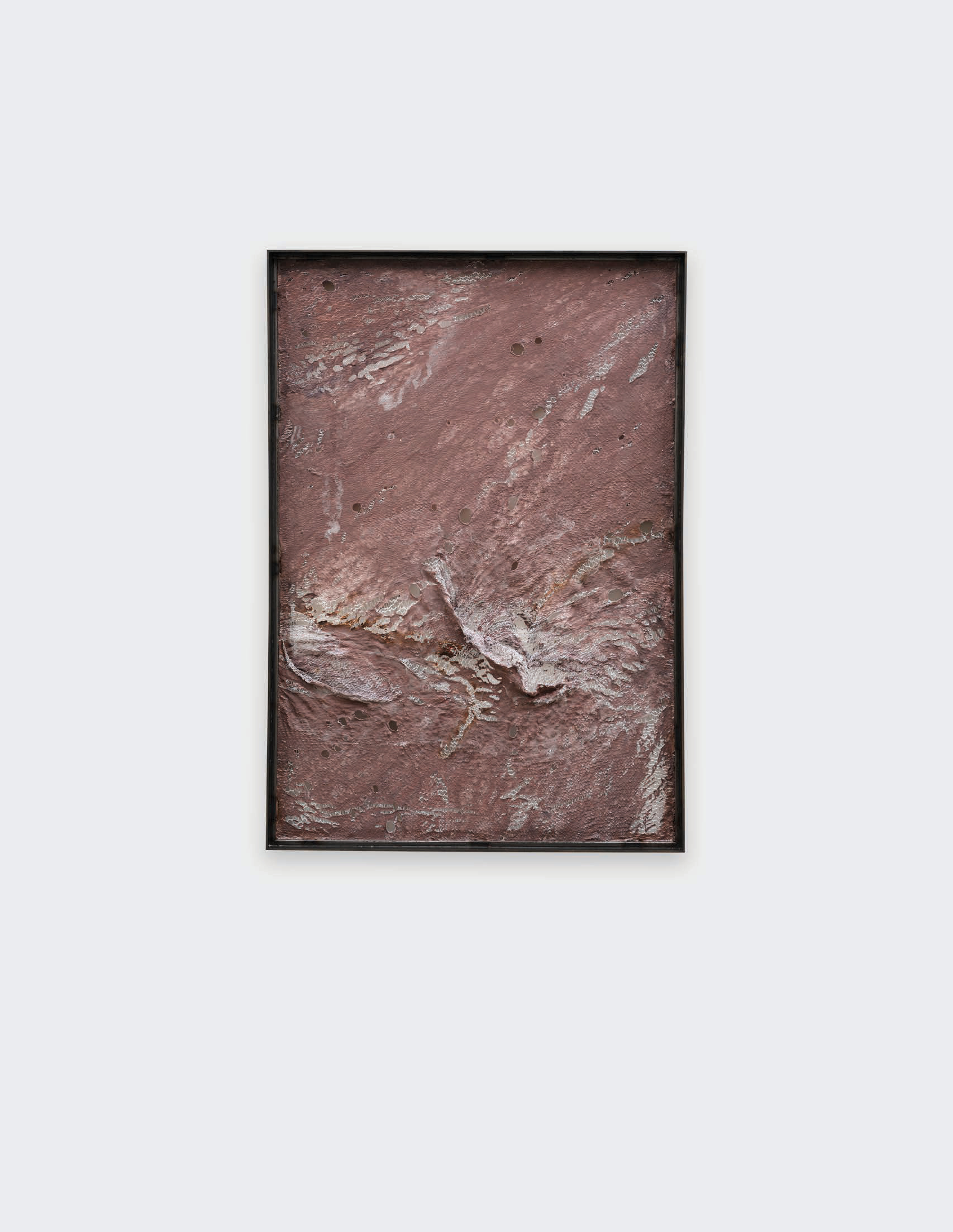 Mire Lee — Untitled #3 (framed flat skin pieces from Open Wound)