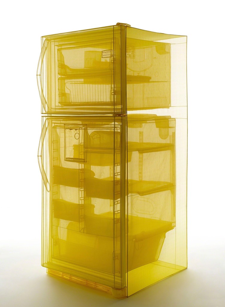 Specimen Series: Refrigerator, Unit 2, 348 West 22nd Street, New York, NY 10011, USA