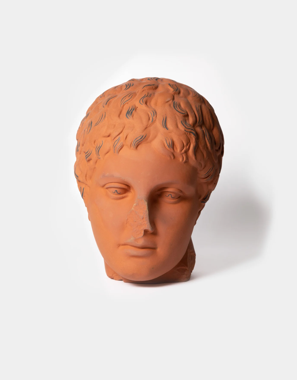 Giovanotto Greco in Terracotta - Bust