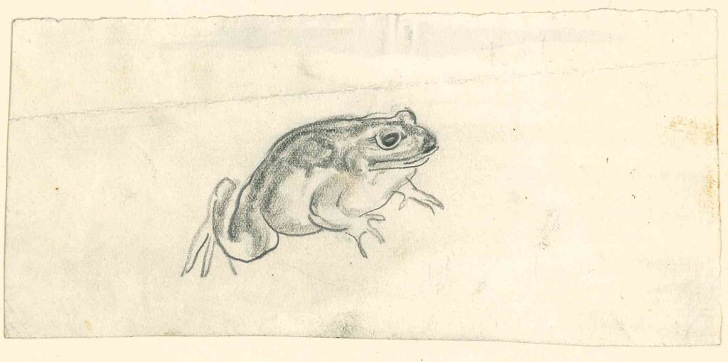 Emmanuel Gondouin —  Frog