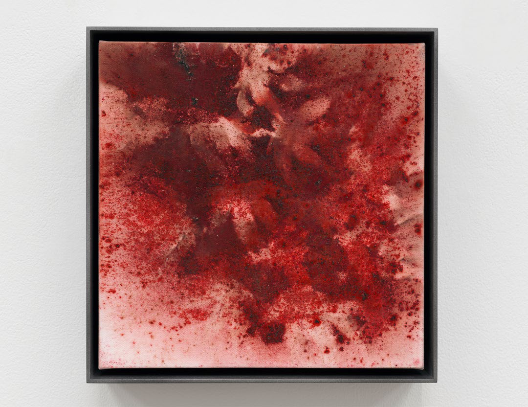 Cai Guo-Qiang — Maple Leaves No. 1