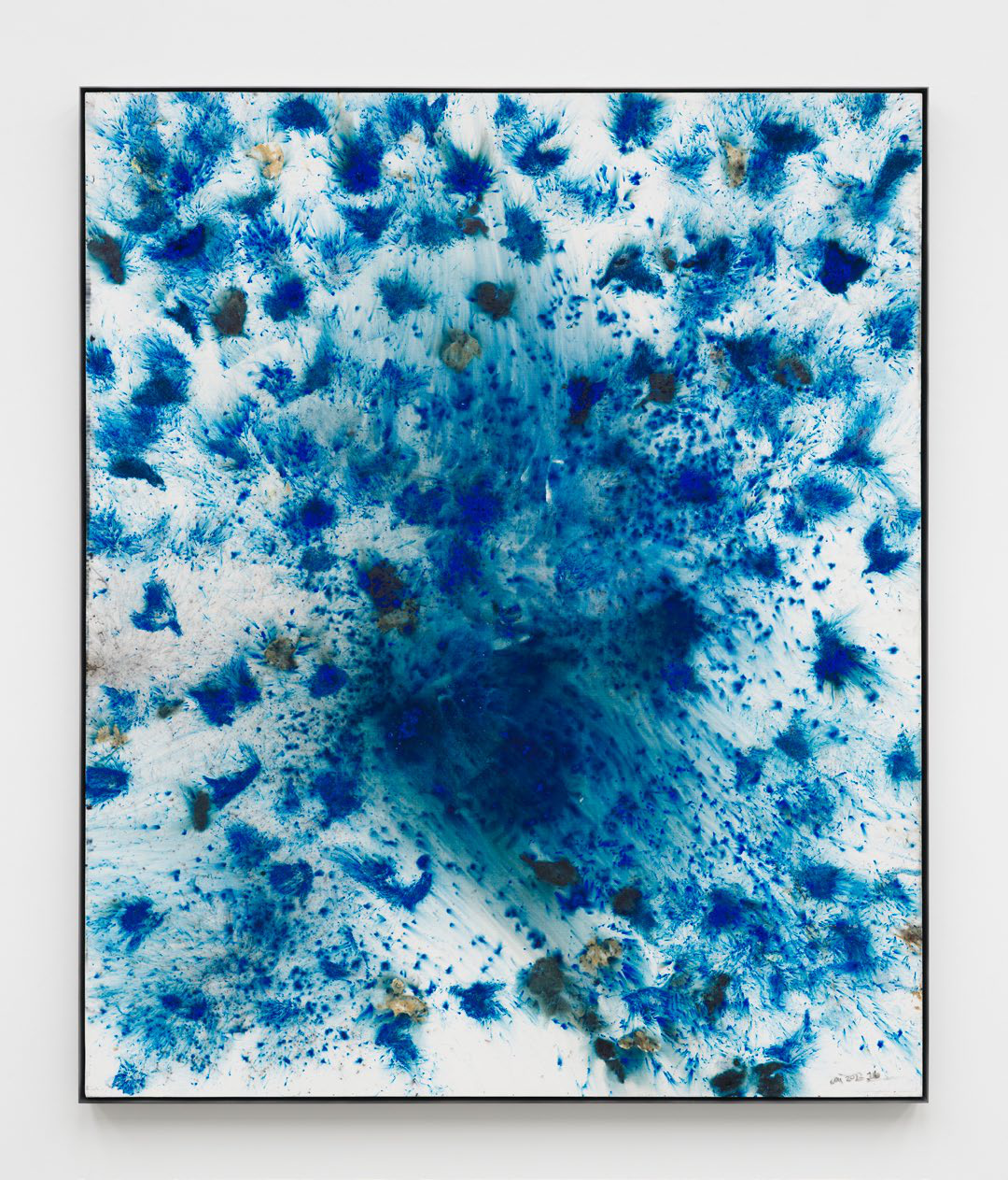 Cai Guo-Qiang — Blue Fire and Blue Bird