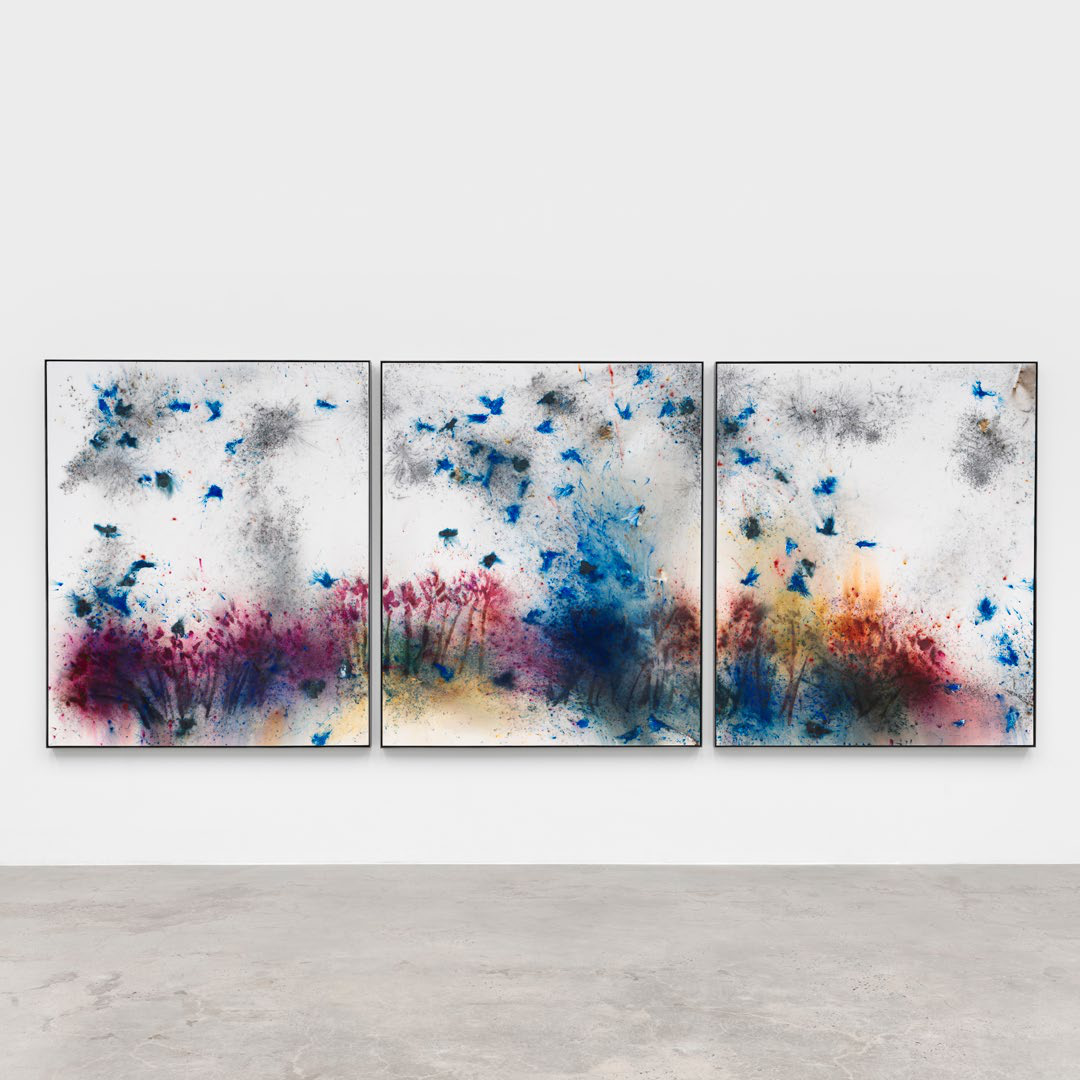 Cai Guo-Qiang — Blue Bird and Flowers No. 2