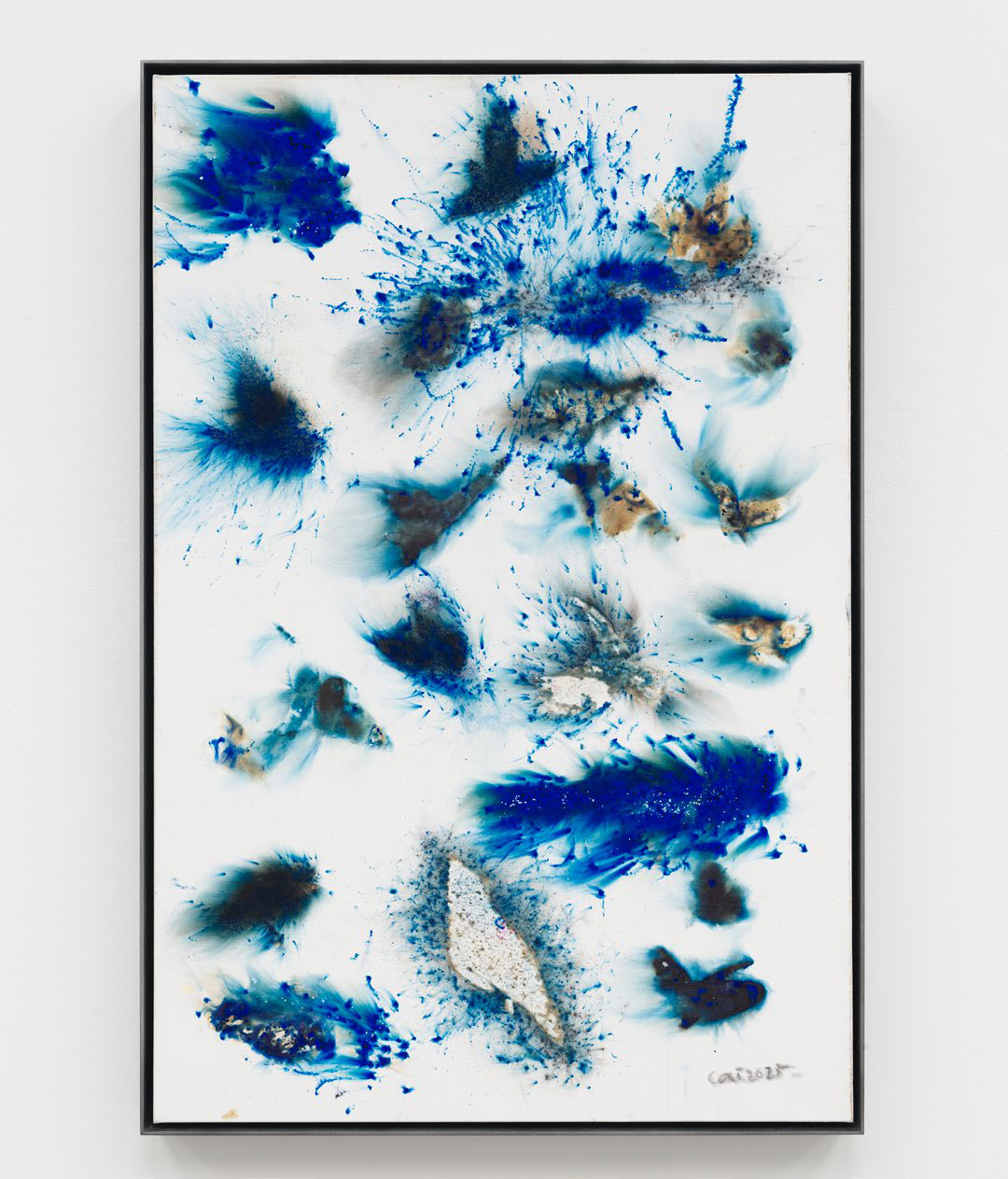 Cai Guo-Qiang — Test of Blue Birds