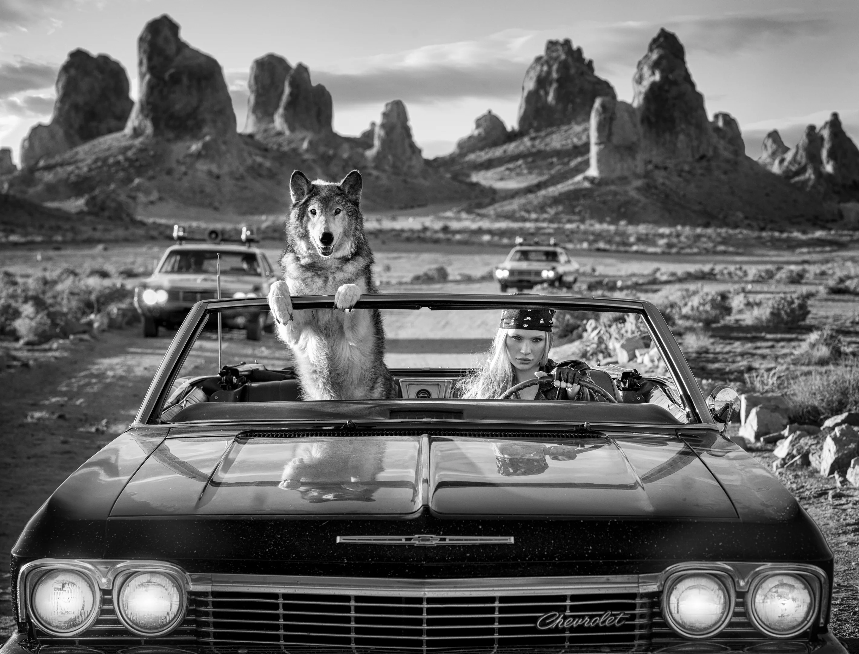 David Yarrow — Vice
