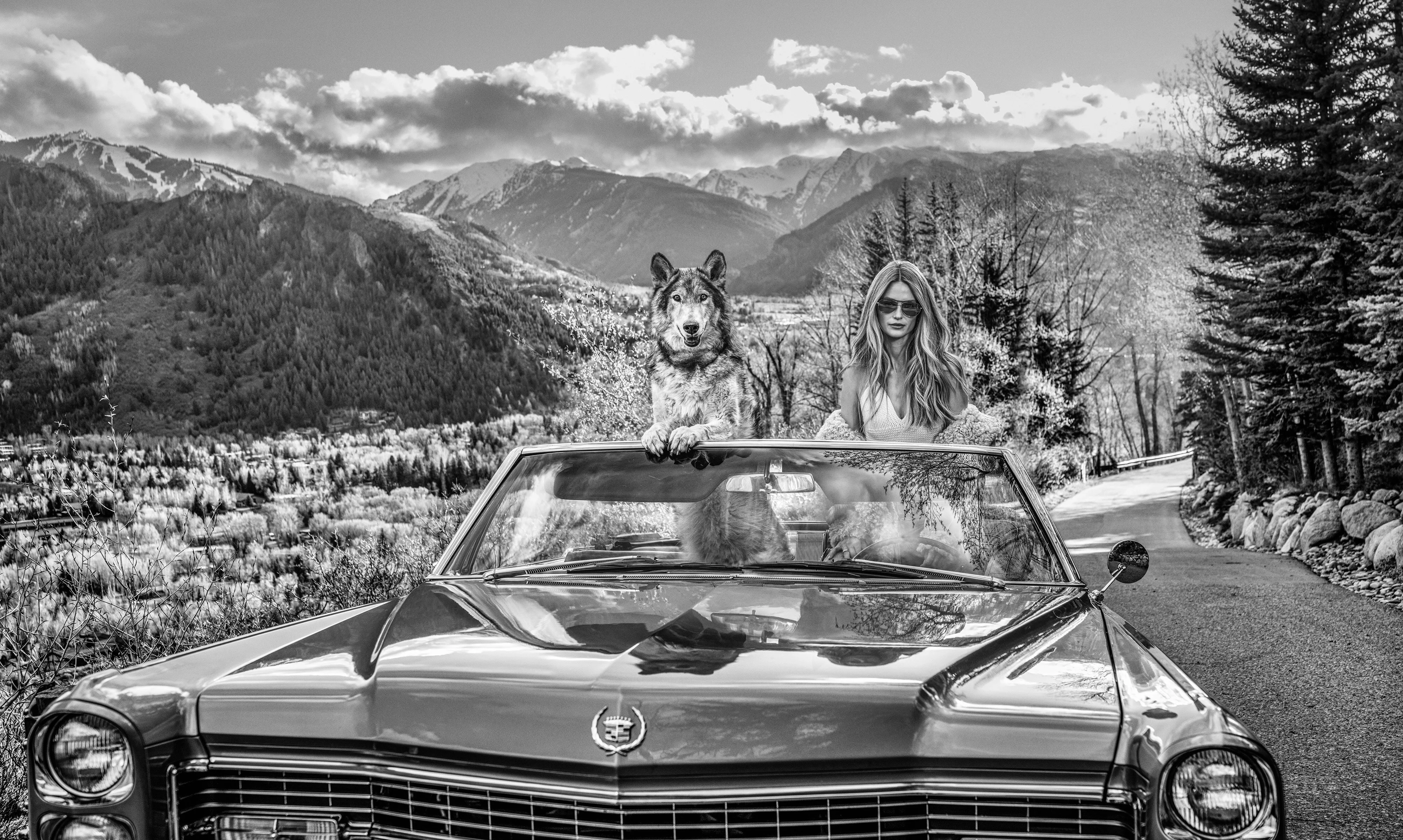 David Yarrow — Spring in Aspen