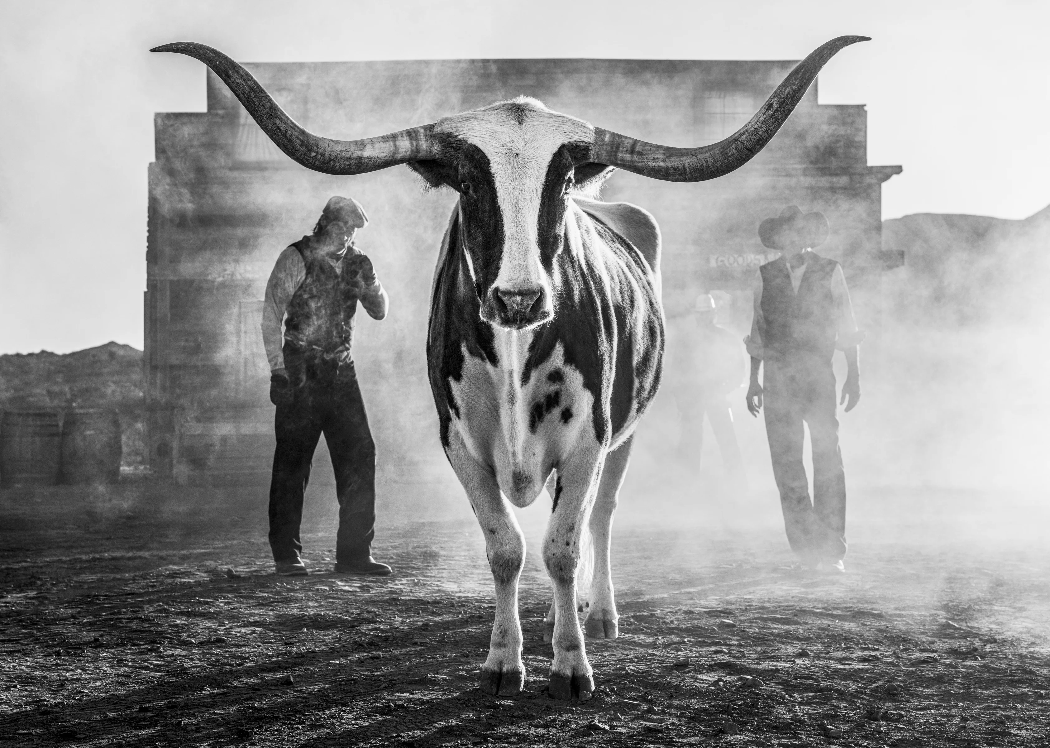 David Yarrow — Morning Has Broken