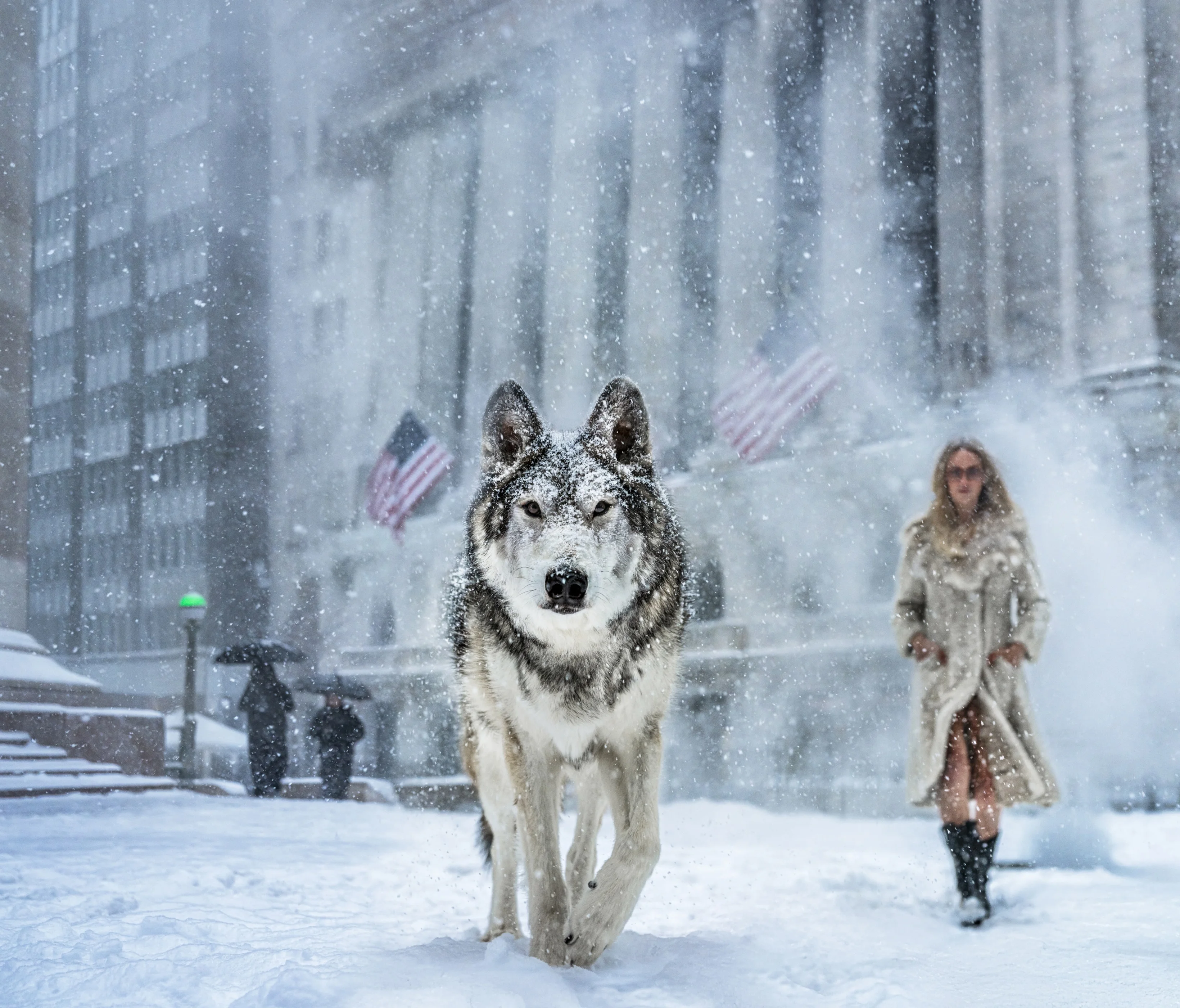 Samuel Owen Gallery