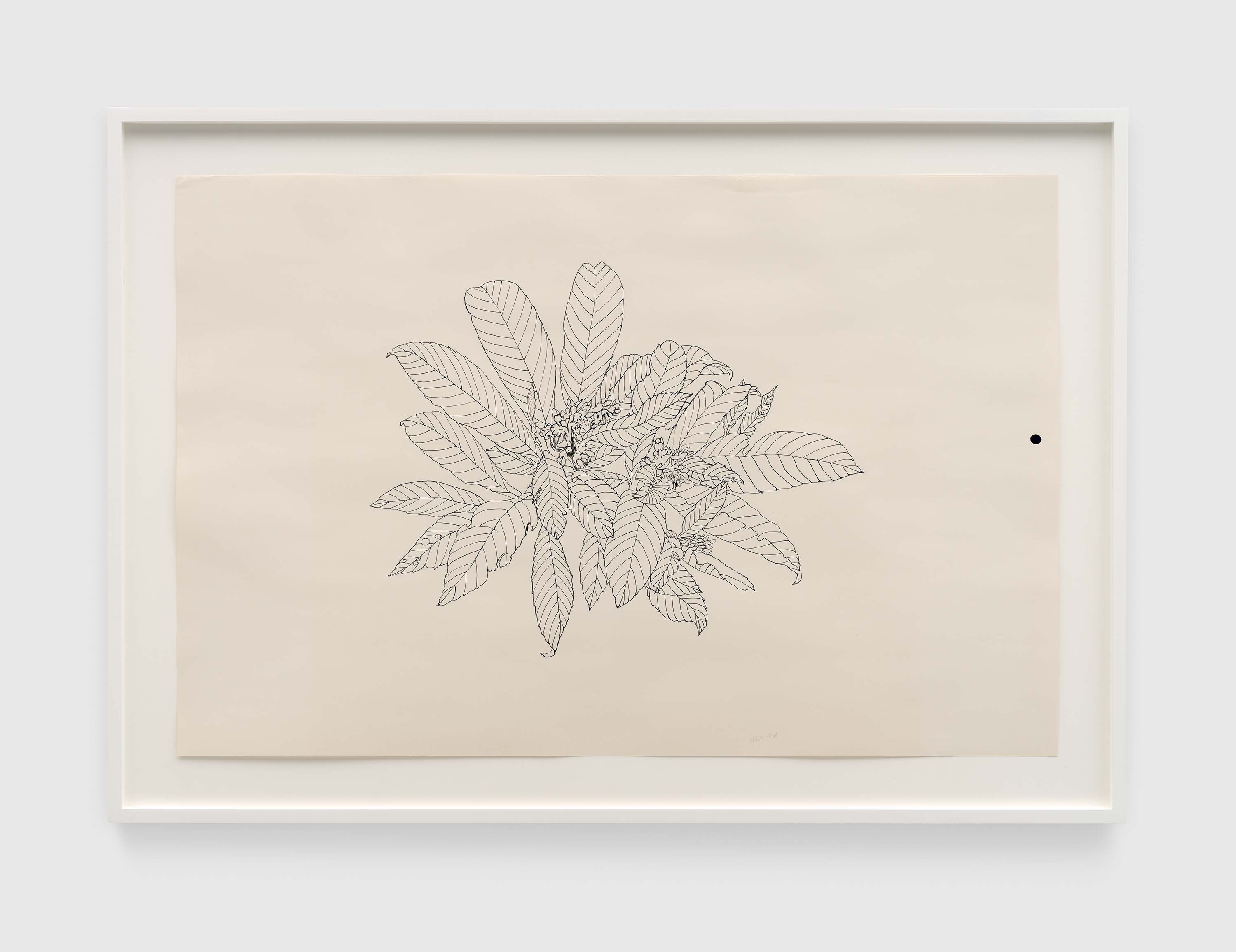 Ruth Asawa — Untitled (PF.221, Loquat Leaves and Blossoms)