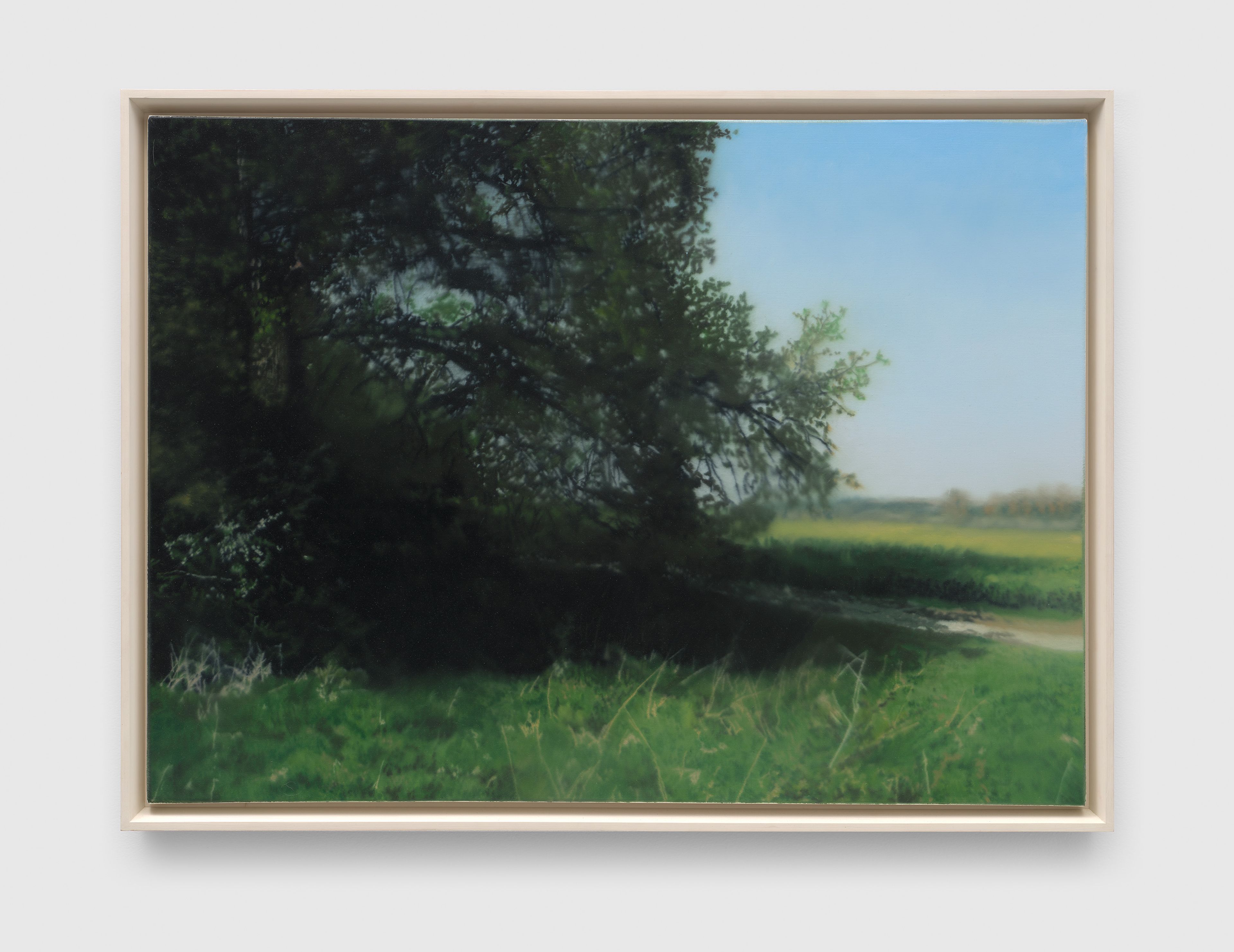 Gerhard Richter — Buche (Beech Tree)