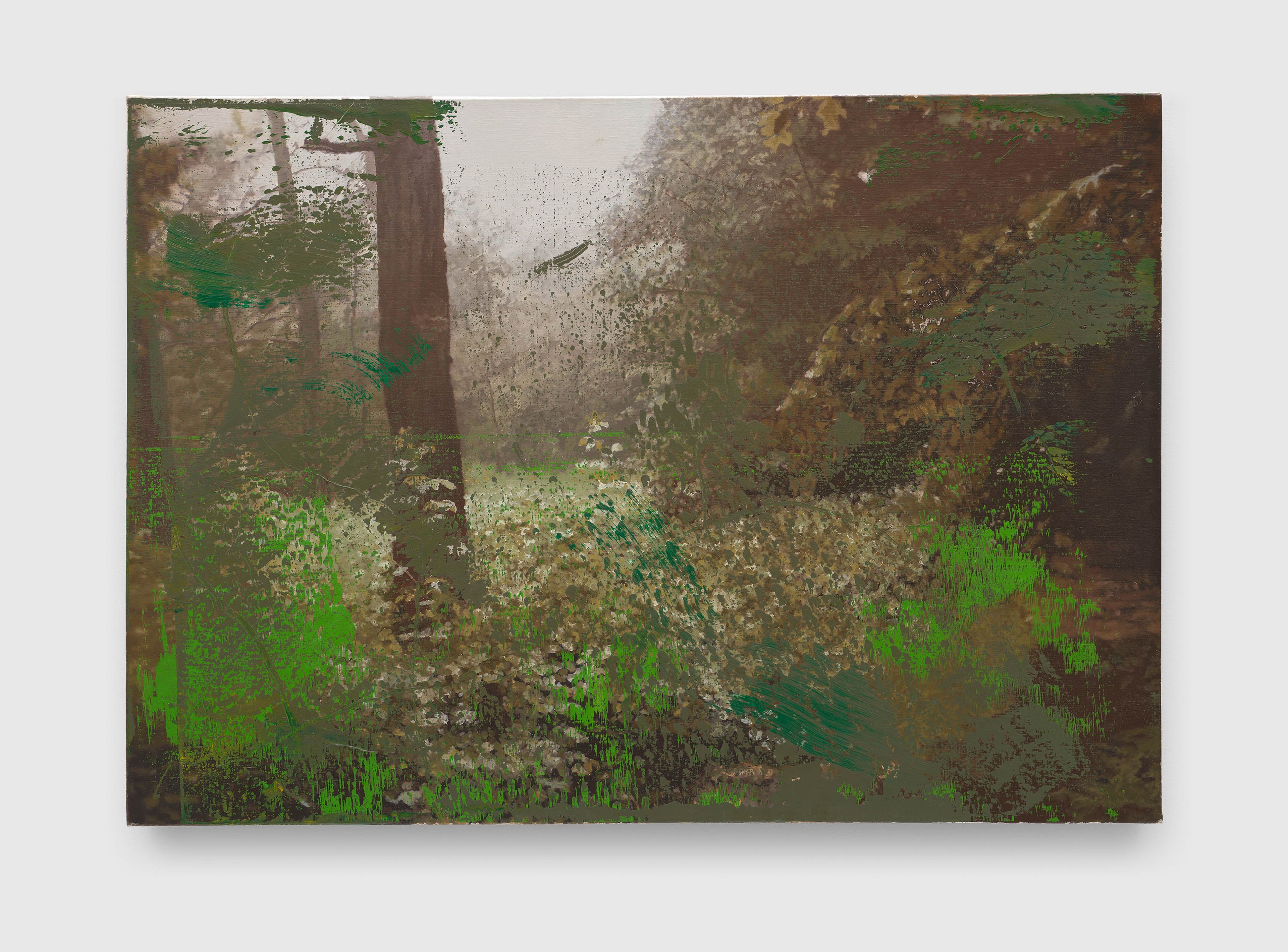 Gerhard Richter — Lichtung (Clearing)