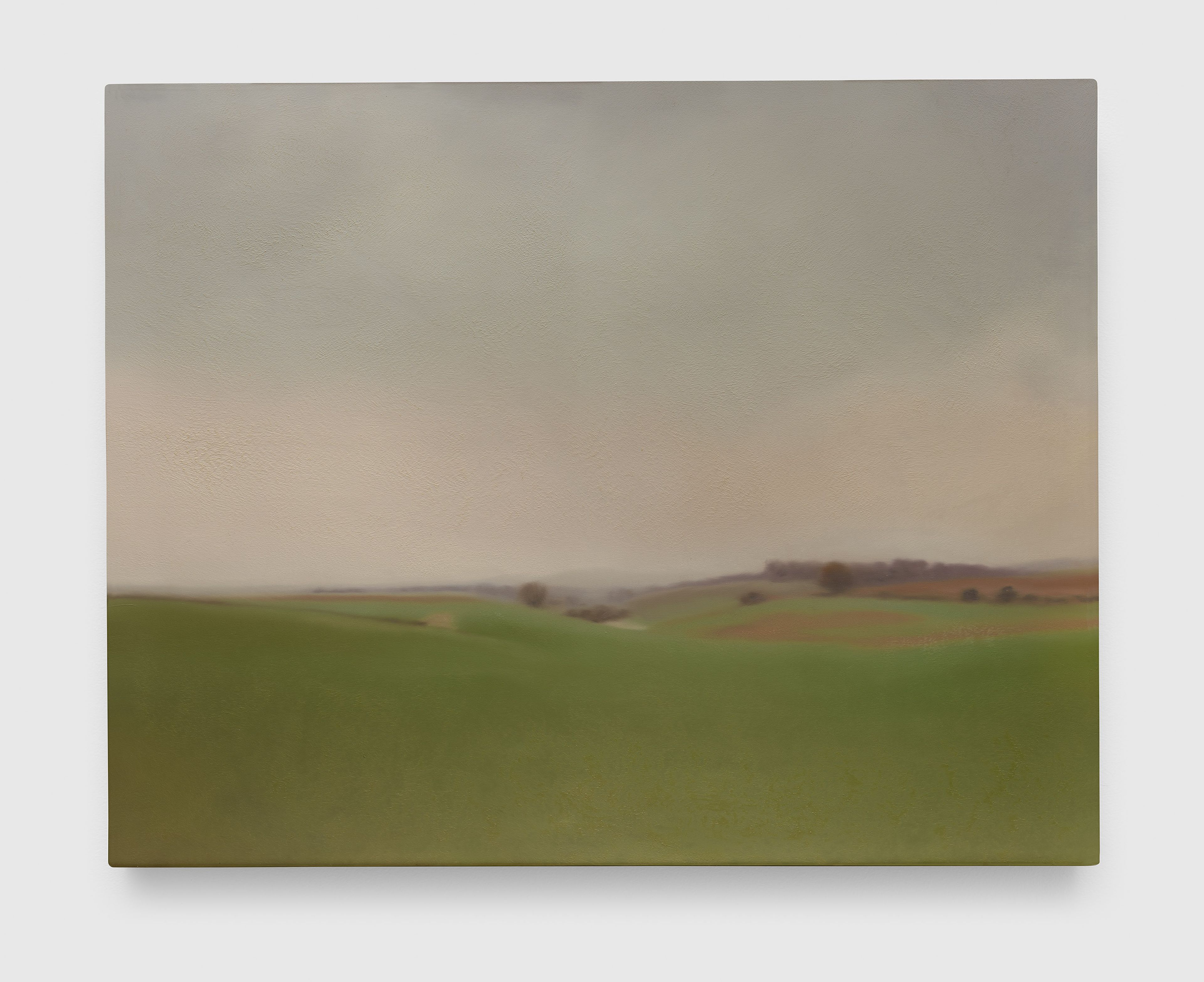 Gerhard Richter — Grünes Feld (Green Field)