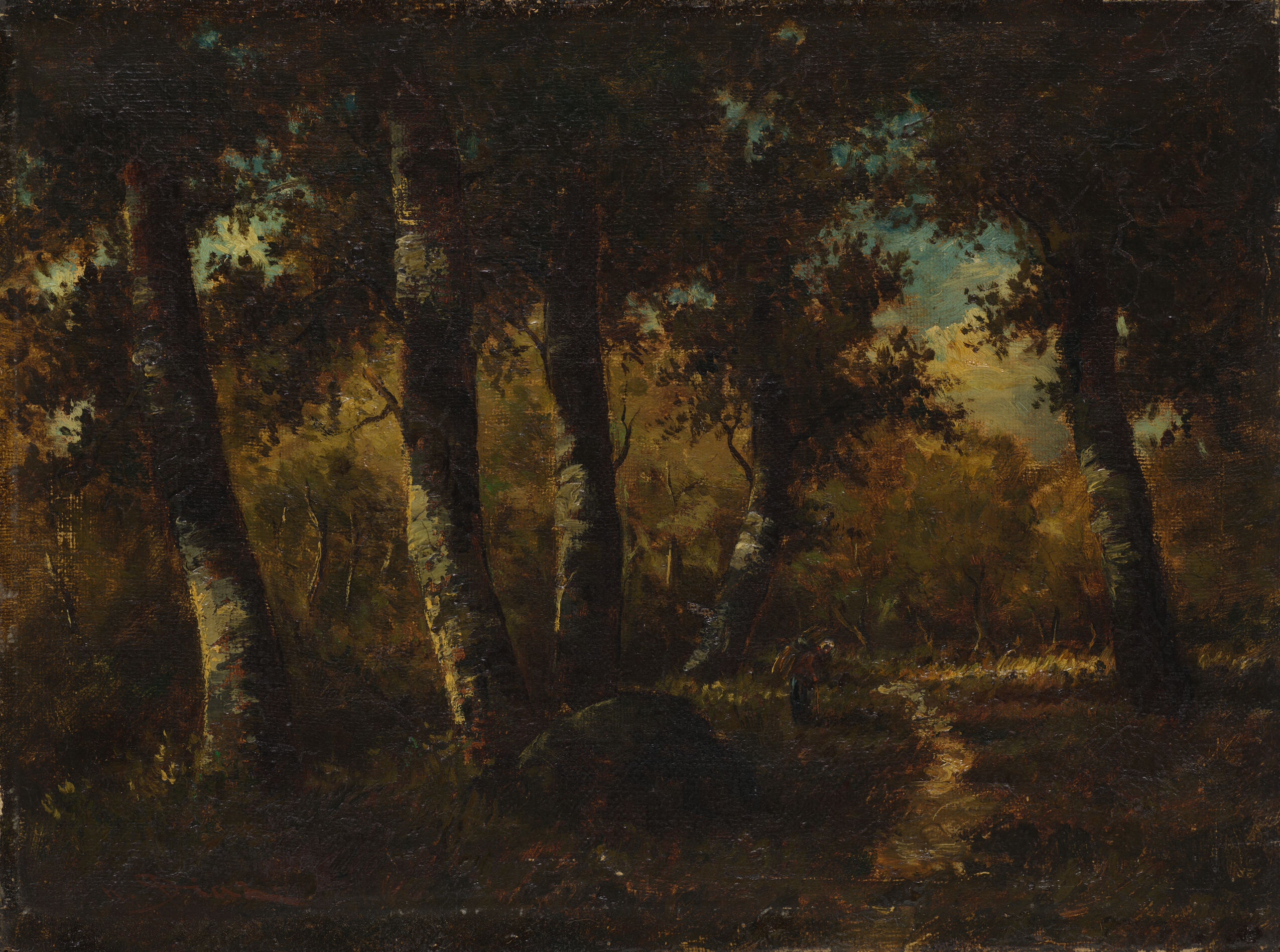 Forest Landscape