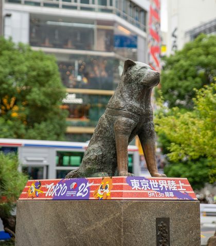 Shibuya Station, Hachikō Exit